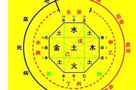 怎麼查八字|免費生辰八字五行屬性查詢、算命、分析命盤喜用神、喜忌